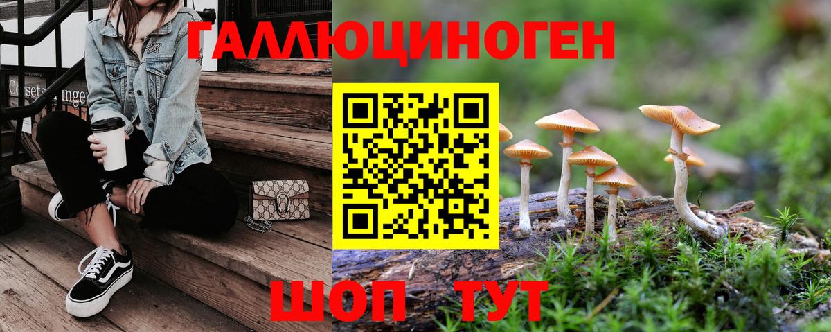 Псилоцибиновые грибы Cubensis  Вход с VPN  Тосно 