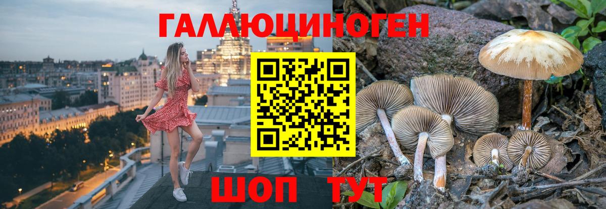 Галлюциногенные грибы GOLDEN TEACHER Тосно